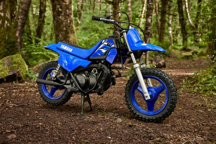 Yamaha PW50
